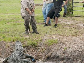 Люди на болоте