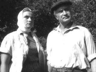 Мать и мачеха