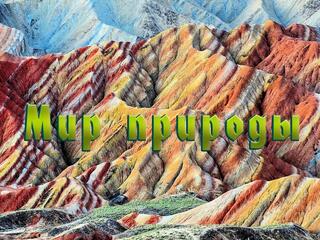 Мир природы