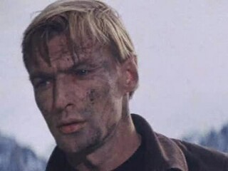 Мировой парень