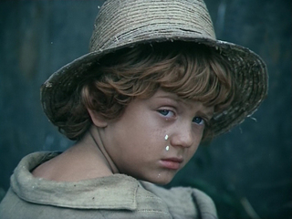 Приключения Тома Сойера и Гекльберри Финна