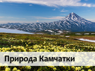 Природа Камчатки