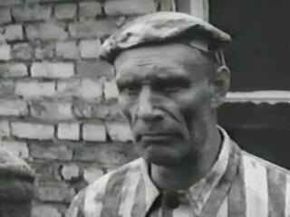 Родины солдат