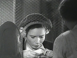 Старый наездник