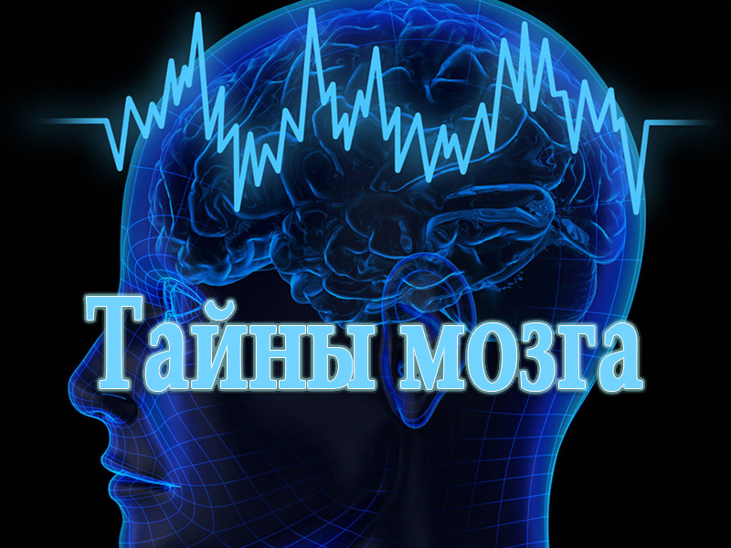 Тайны мозга