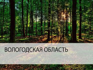 Традиции Вологодской земли