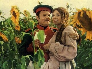 Шельменко-денщик