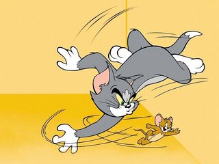 Шоу Тома и Джерри