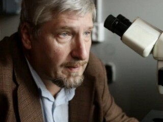 Повелитель мозга