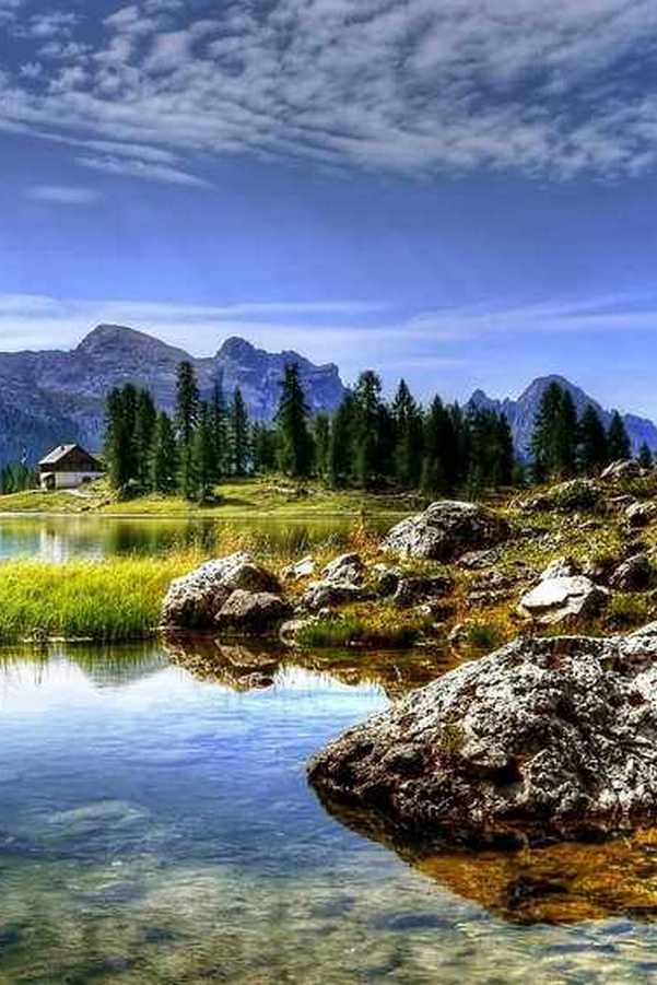 Миллион вопросов о природе