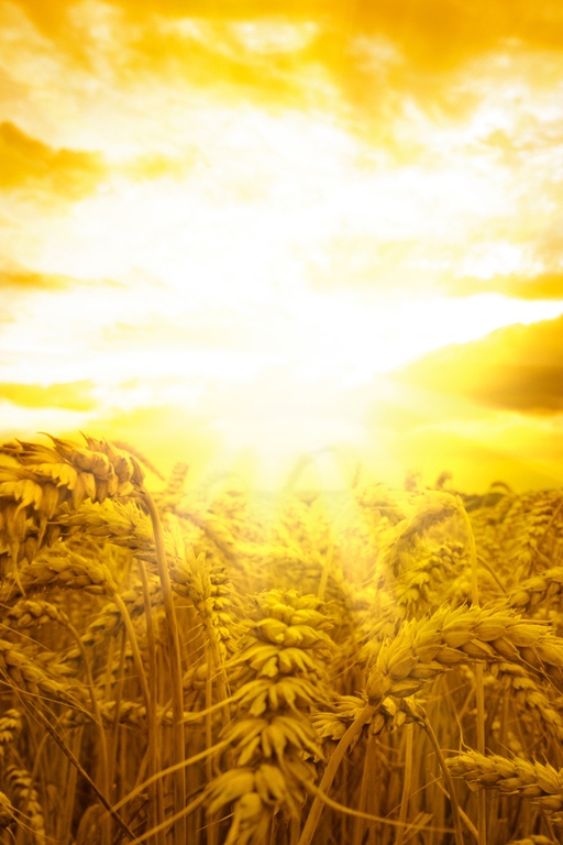 Энергия солнца