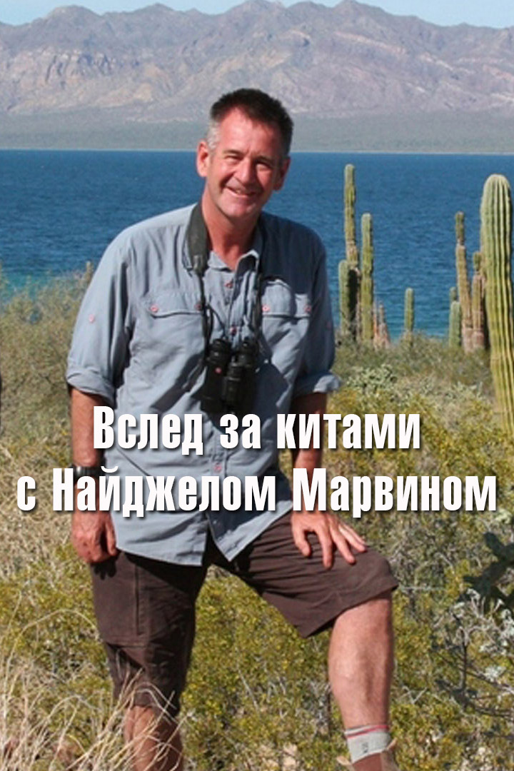 Вслед за китами с Найджелом Марвином
