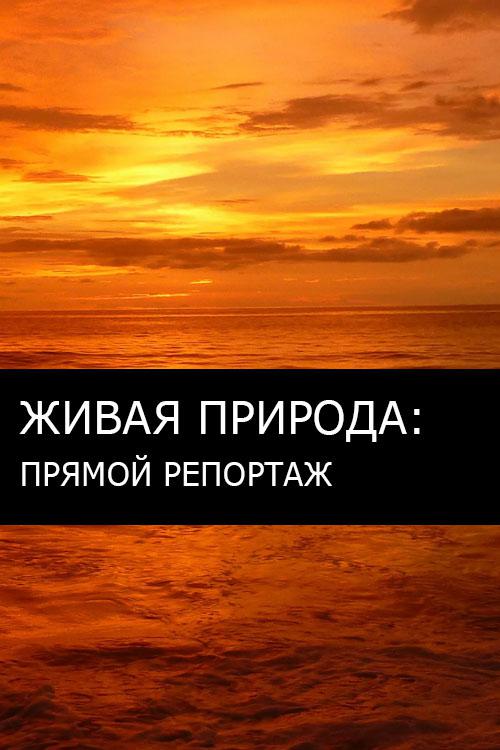 Живая природа: прямой репортаж