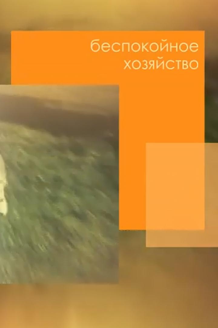 Беспокойное хозяйство