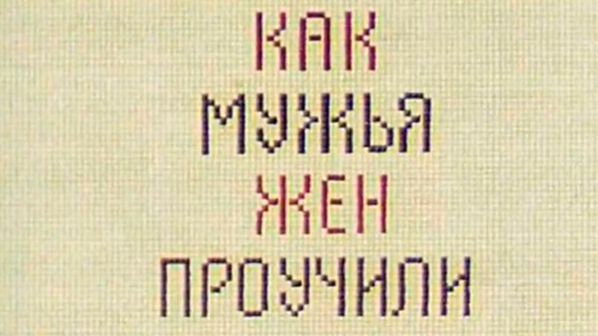 Как мужья жён проучили