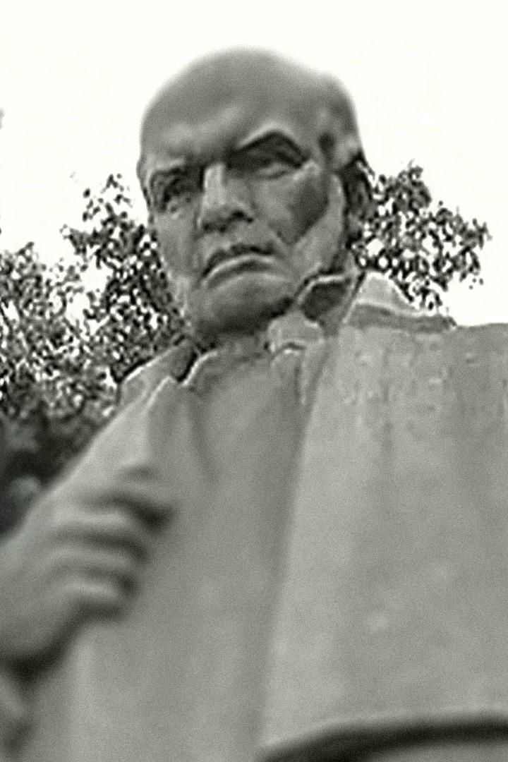 Николай Пирогов. Возвращение