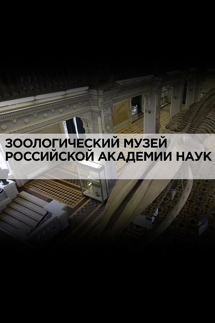 Зоологический музей Российской Академии наук