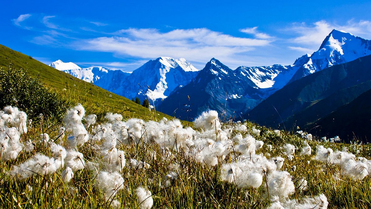 Магический Алтай