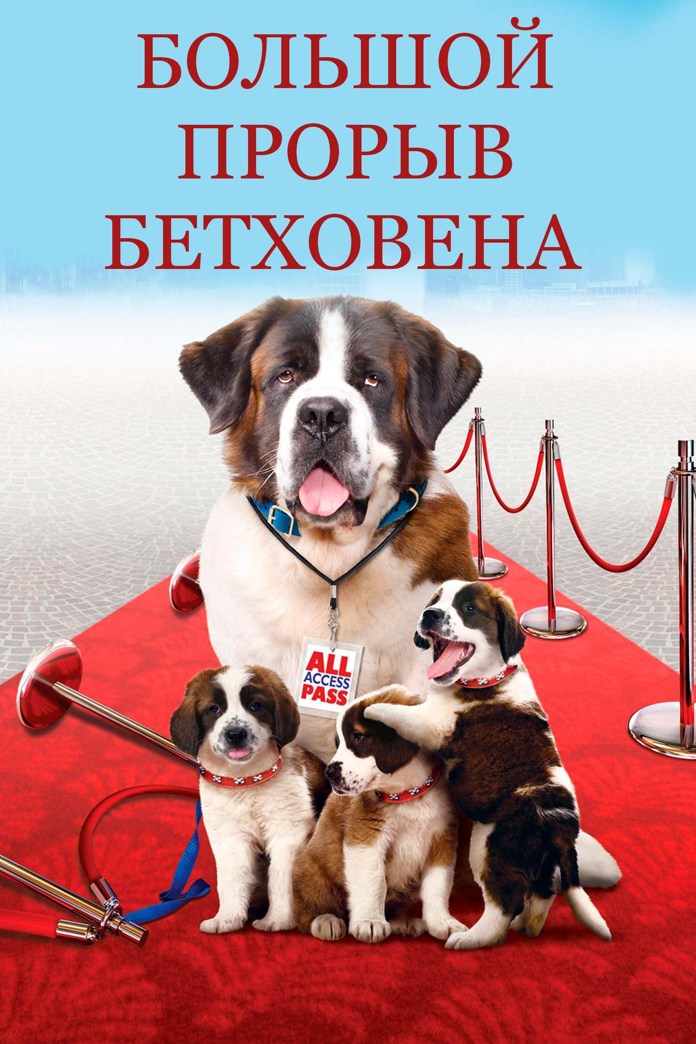 Большой прорыв Бетховена