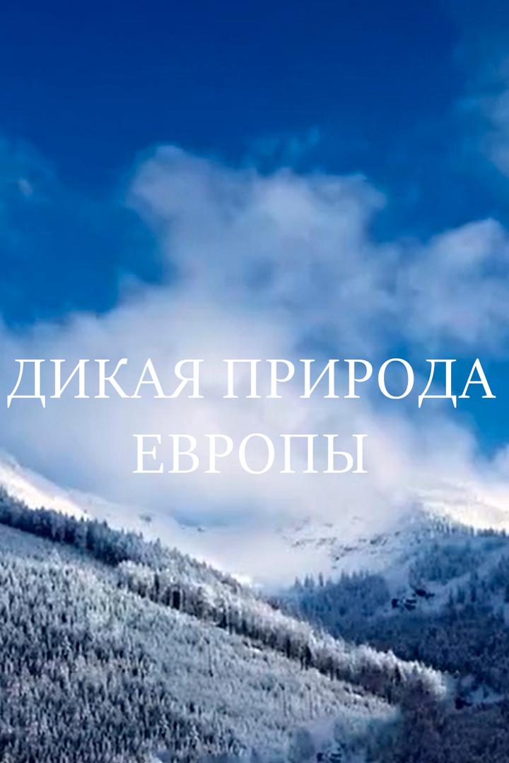 Дикая природа Европы