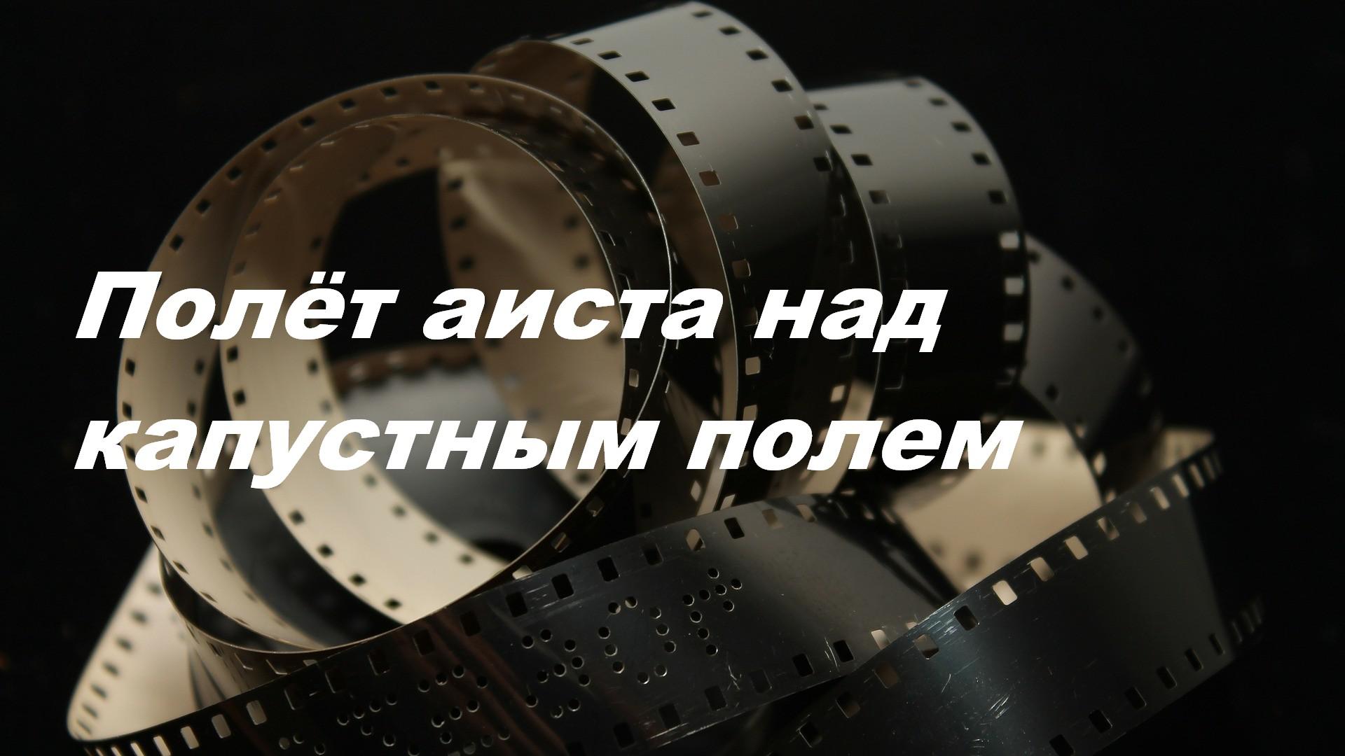 Полёт аиста над капустным полем