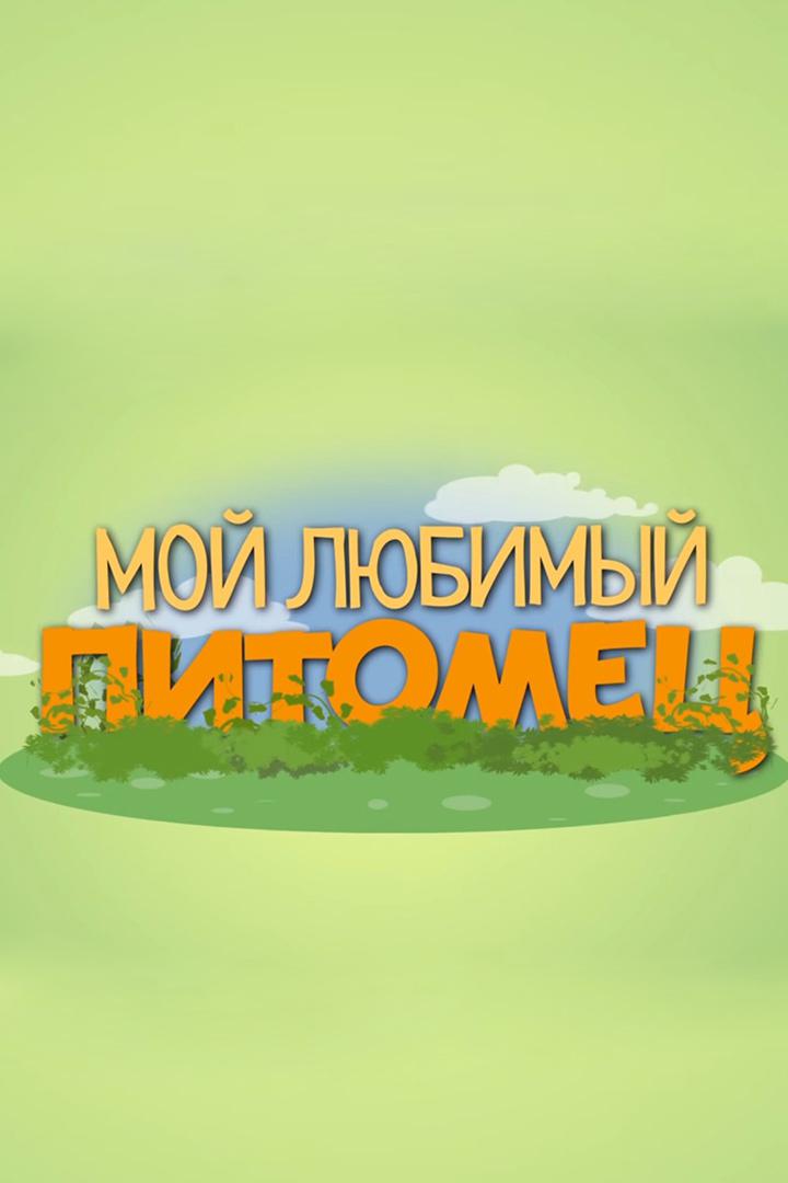 Мой любимый питомец