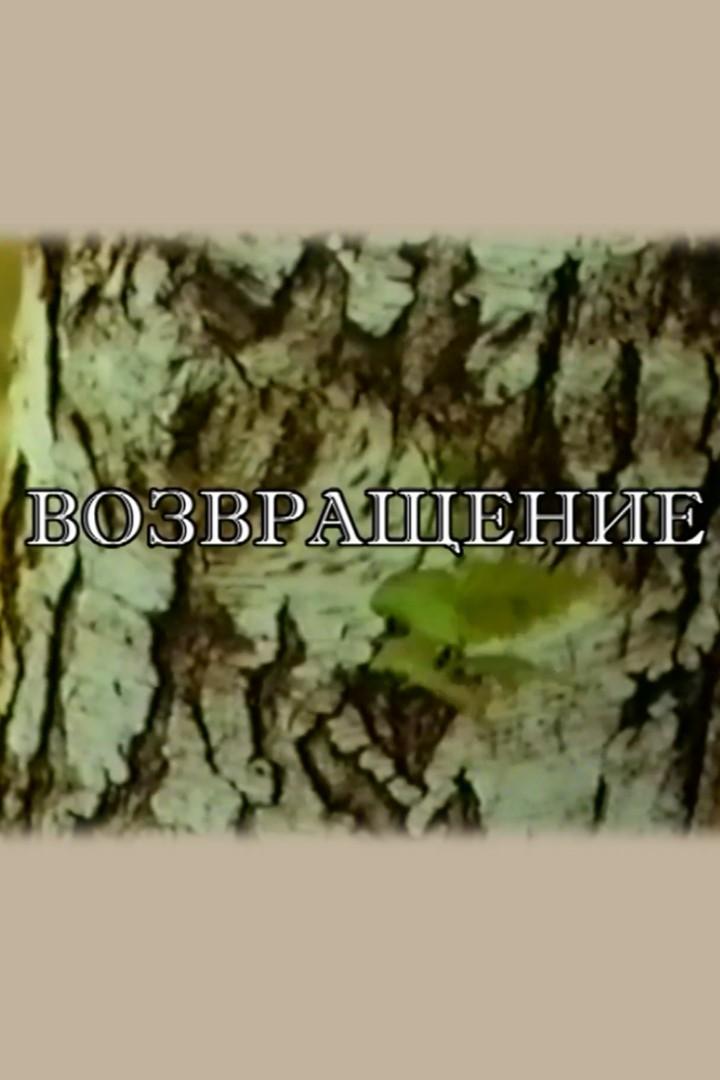 Возвращение
