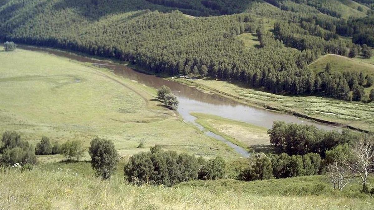Река Куруил