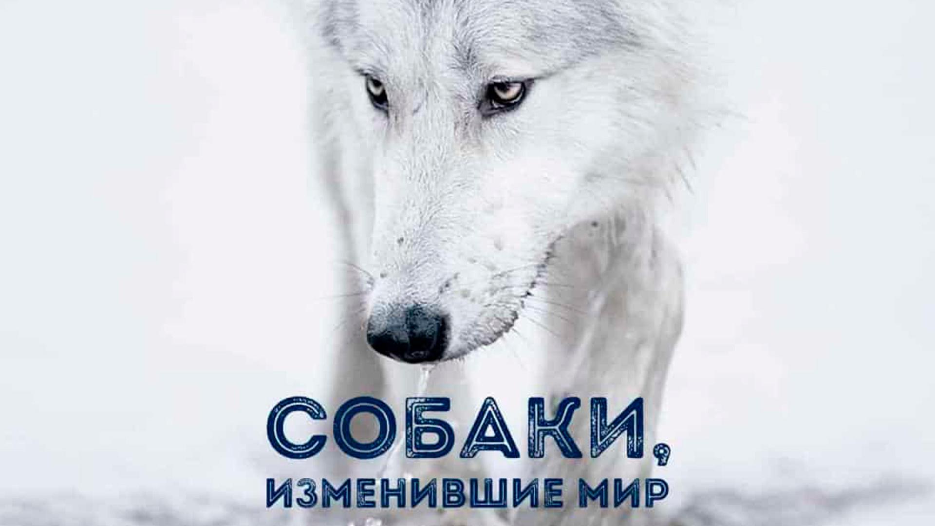 Собаки, изменившие мир