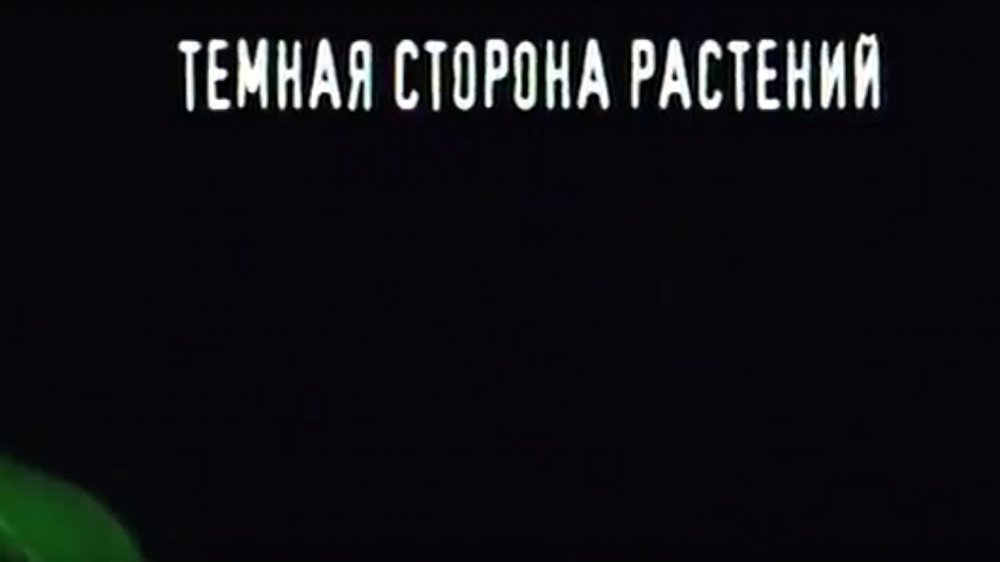 Тёмная сторона растений