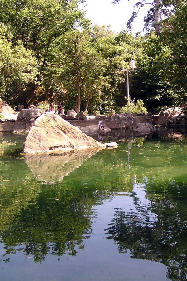 Пруды Алупкинского парка