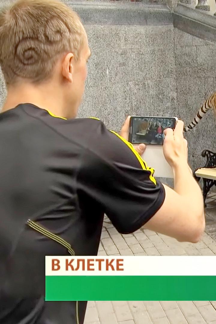 В клетке