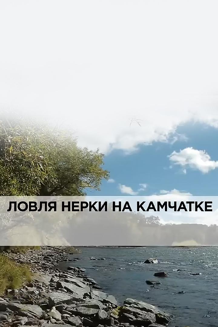 Ловля нерки на Камчатке