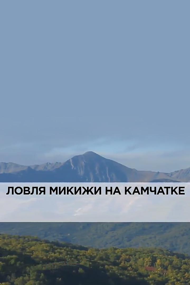 Ловля микижи на Камчатке