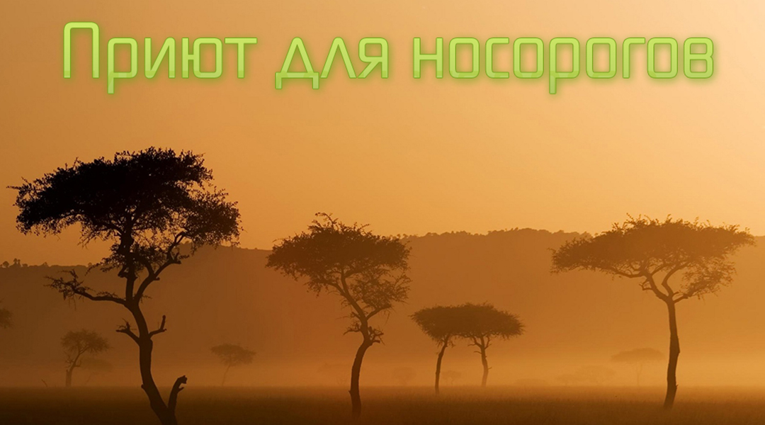 Приют для носорогов