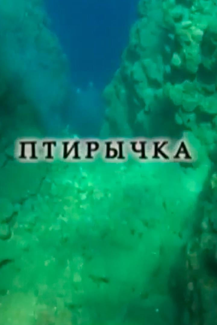 Птирычка