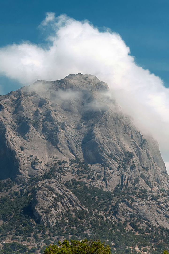 Сокол. Туда и обратно