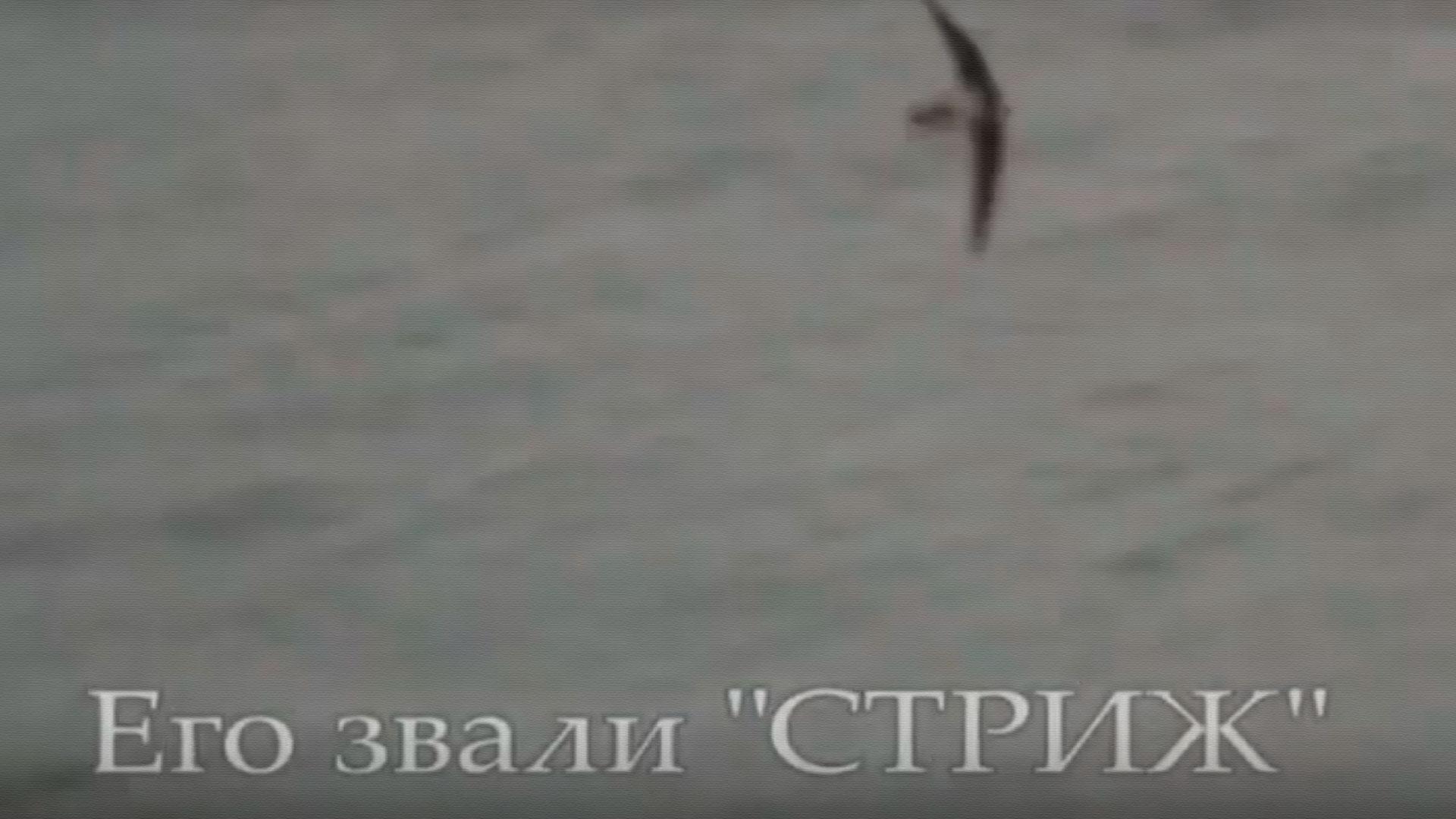 Владислав Стржельчик. Его звали Стриж