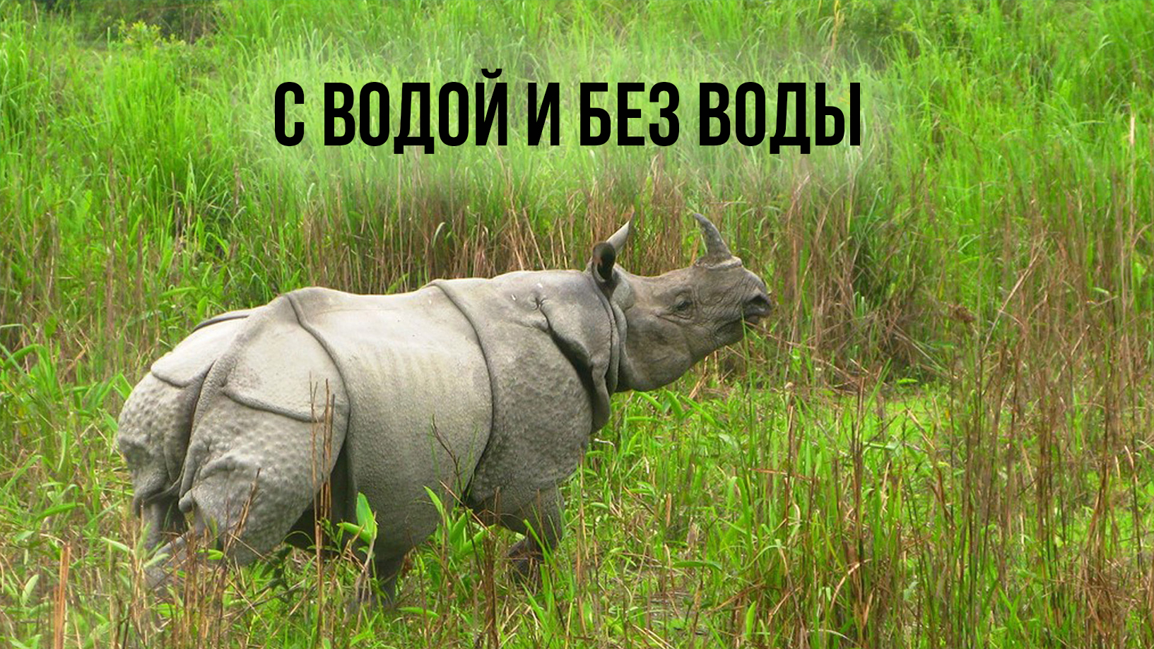 С водой и без воды