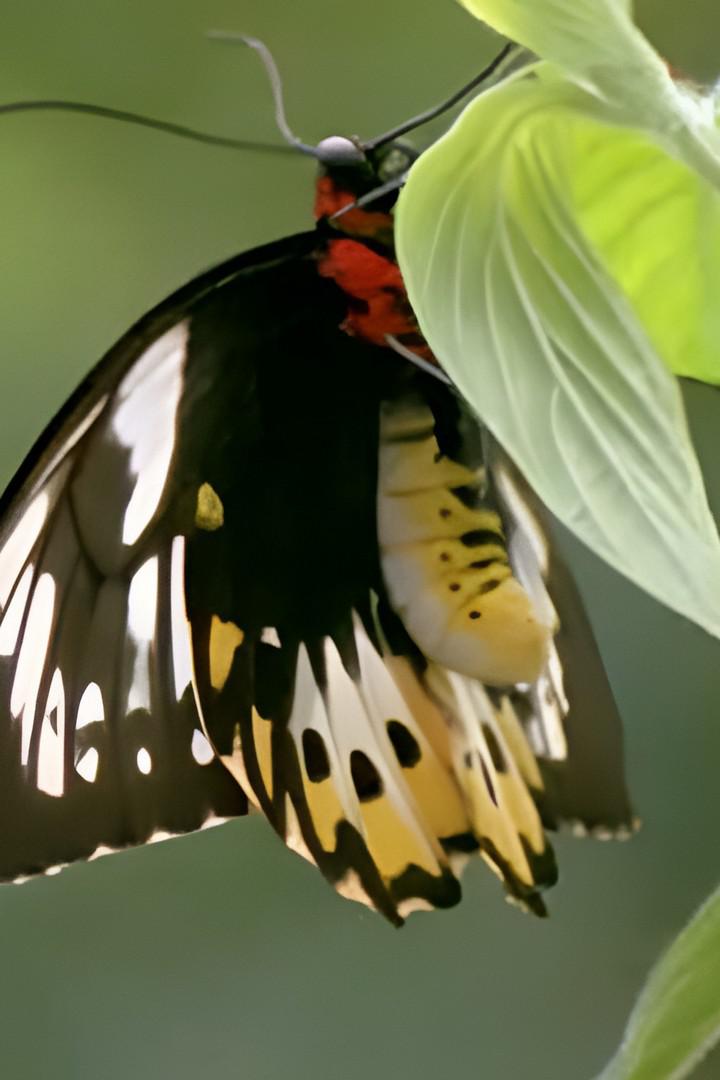 Таємниці природи