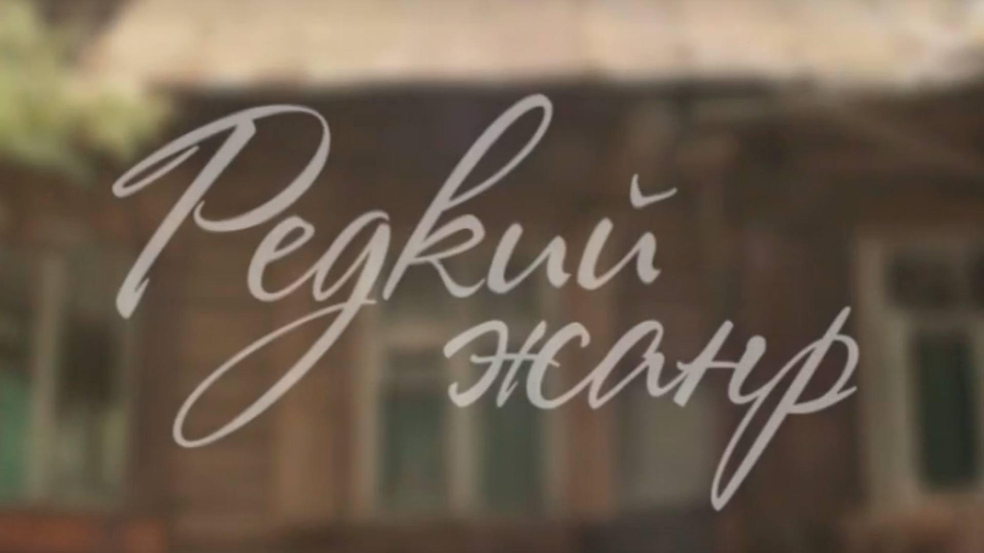 Владимир Гориккер. Редкий жанр