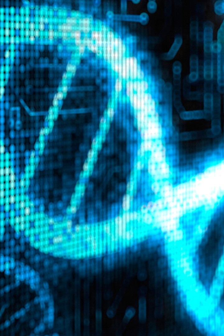 Знакомство с британскими учёными