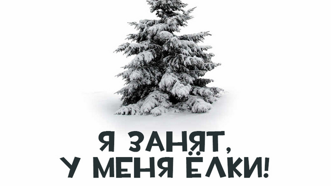 Я занят, у меня ёлки!