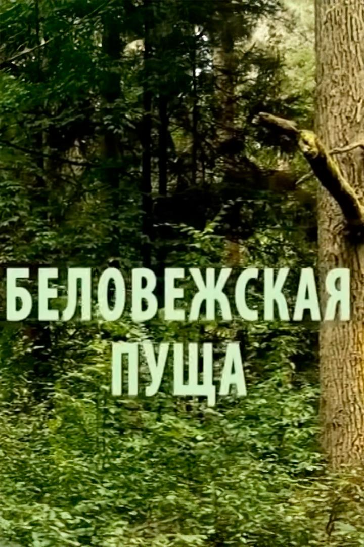 Беловежская пуща