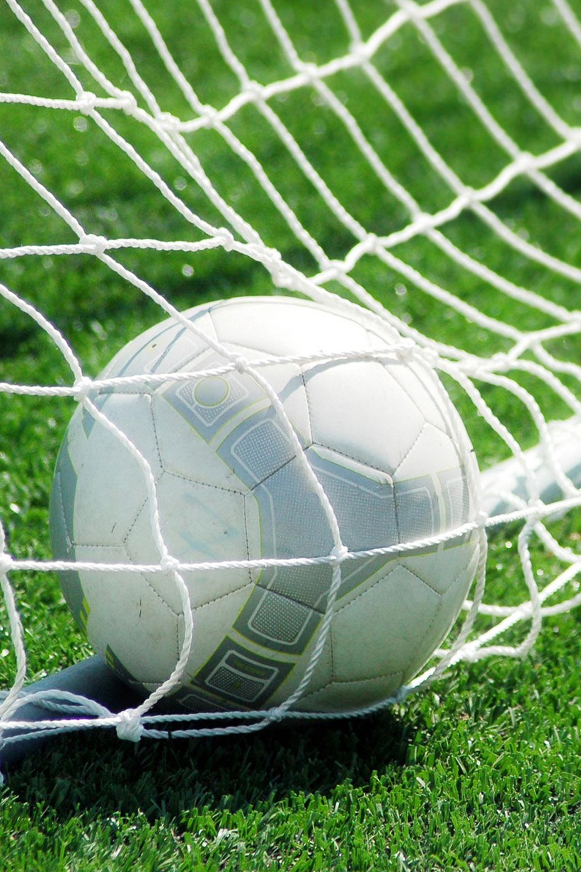 Чемпионат Франции. "Лилль"-"Монако"