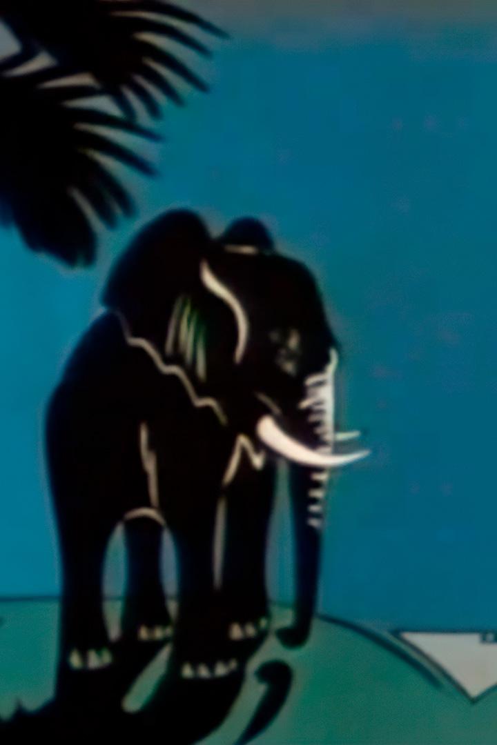 Секреты природы