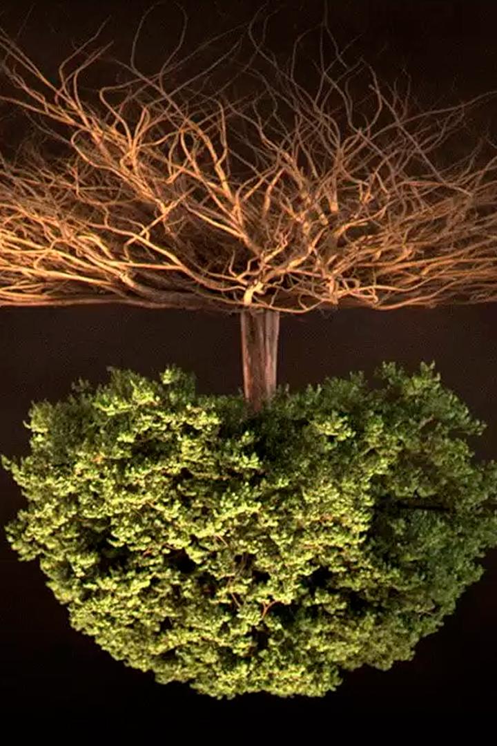 Тайны подземного мира