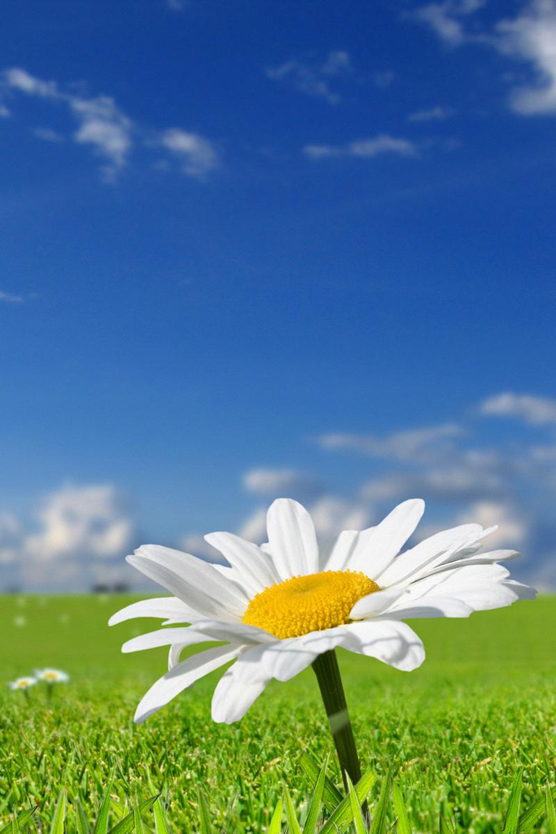 Ёз ҳикоялари