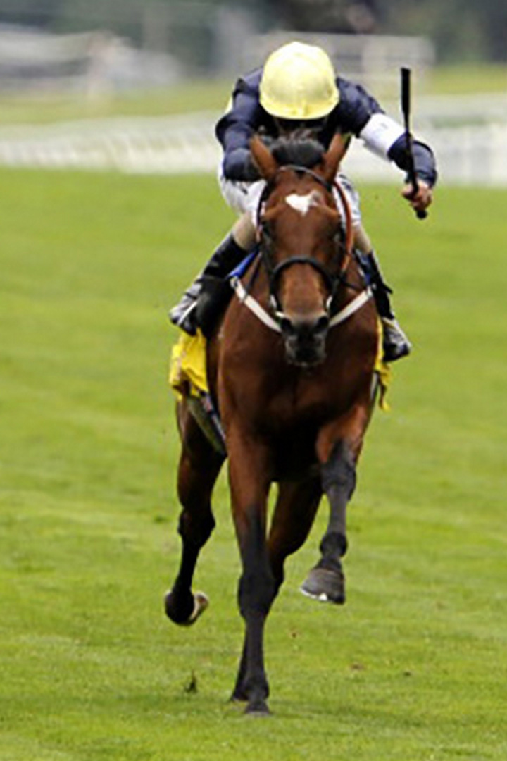 Скачки "The King Georg VI and Queen Elizabeth Stakes". Трансляция из Англии