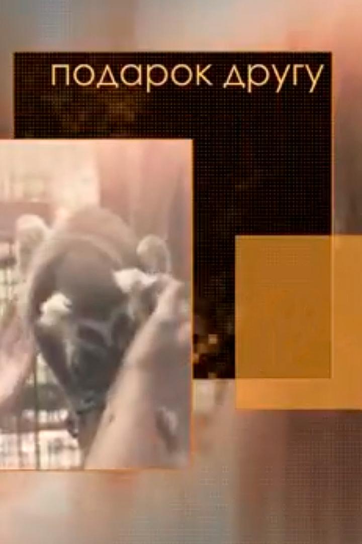 Подарок другу